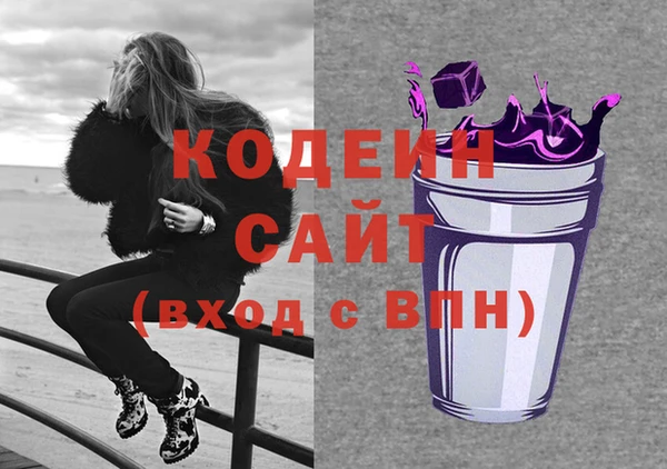индика Михайловка