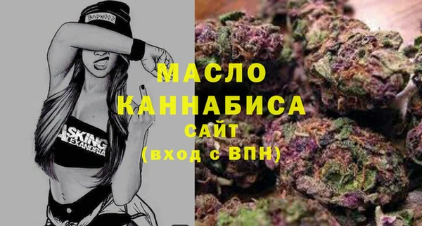 твердый Мегион