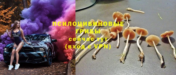 индика Михайловка