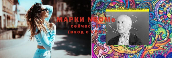 индика Михайловка