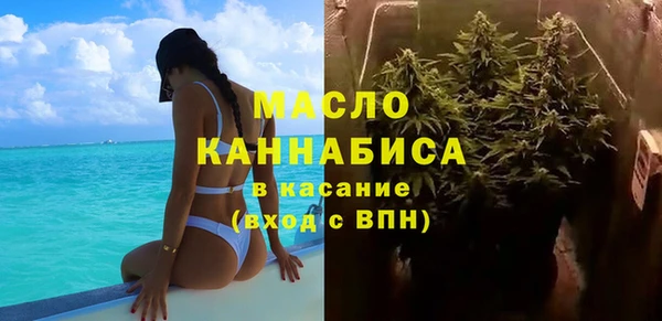 индика Михайловка
