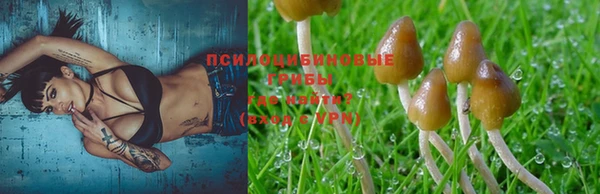 герыч Медвежьегорск