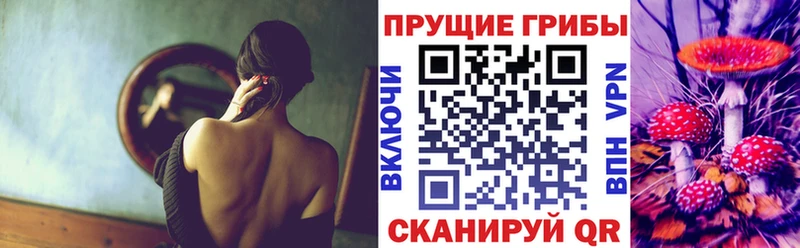 kraken ССЫЛКА  где купить   Прокопьевск  Галлюциногенные грибы Psilocybine cubensis 