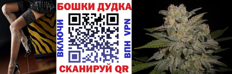 Конопля индика  даркнет телеграм  Прокопьевск  купить  сайты  MEGA ССЫЛКА 
